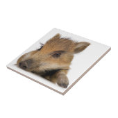 Baby Warthog Fliese (Seite)