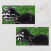 Baby-Waschbär-Visitenkarten Visitenkarte (Vorne/Hinten)