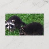 Baby-Waschbär-Visitenkarten Visitenkarte (Rückseite)