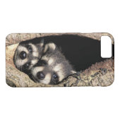 Baby-Waschbären in Baumhöhle Procyon Case-Mate iPhone Hülle (Rückseite (Horizontal))