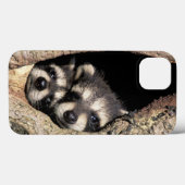 Baby-Waschbären in Baumhöhle Procyon Case-Mate iPhone Hülle (Rückseite (Horizontal))