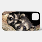 Baby-Waschbären in Baumhöhle Procyon Case-Mate iPhone Hülle (Rückseite (Horizontal))