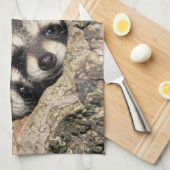 Baby-Waschbären in Baumhöhle Procyon Handtuch (Viertel Falte)