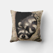 Baby-Waschbären in Baumhöhle Procyon Kissen (Rückseite)