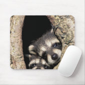 Baby-Waschbären in Baumhöhle Procyon Mousepad (Mit Mouse)