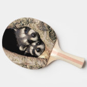 Baby-Waschbären in Baumhöhle Procyon Tischtennis Schläger (Seitenansicht)