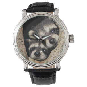 Baby-Waschbären in einer Baumhöhle Procyon Armbanduhr