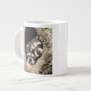Baby-Waschbären in einer Baumhöhle Procyon Jumbo-Tasse