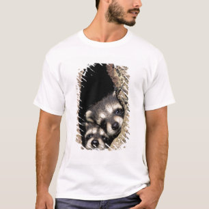 Baby-Waschbären in einer Baumhöhle Procyon T-Shirt