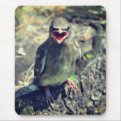 Baby Waxwing Fledgling Bird Nature Mousepad (Vorne)