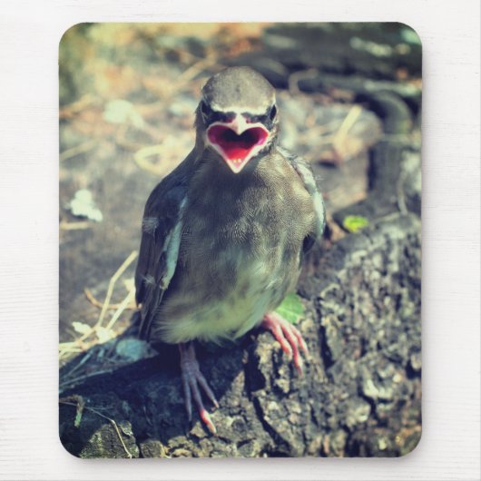 Baby Waxwing Fledgling Bird Nature Mousepad (Vorne)