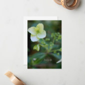 Baby White Blume Mitteilungskarte (Vorderseite/Rückseite Beispiel)