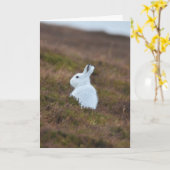 Baby White Hare Karte (Gelbe Blume)