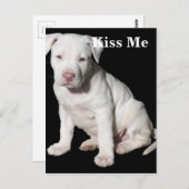 Baby White Pitbull Puppy Postkarte (Vorne/Hinten)