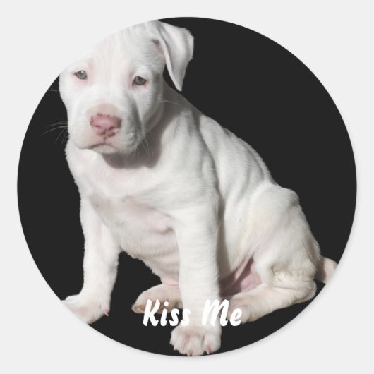 Baby White Pitbull Puppy Runder Aufkleber (Vorderseite)