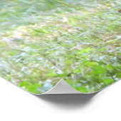 Baby White Tails Deer Fawn Poster (Ecke)