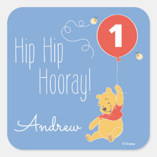 baby_winnie_the_pooh_erster_geburtstag_quadratischer_aufkleber r755522b9d74b418ba9fa25edeef48c9f_v9i40_8byvr_324