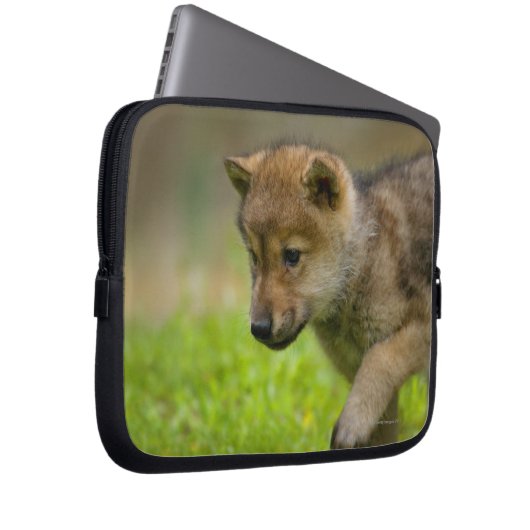 Baby-Wolf Laptopschutzhülle (Vorne Rechts)