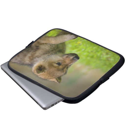 Baby-Wolf Laptopschutzhülle (Vorne Knopf)