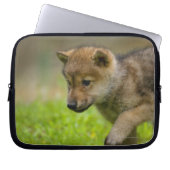 Baby-Wolf Laptopschutzhülle (Vorderseite)
