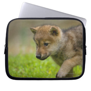 Baby-Wolf Laptopschutzhülle