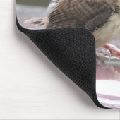 Baby Wren Hair Model Mousepad (Ecke)