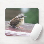 Baby Wren Hair Model Mousepad (Mit Mouse)