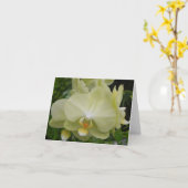 Baby Yellow Orchid Note Card Karte (Gelbe Blume)