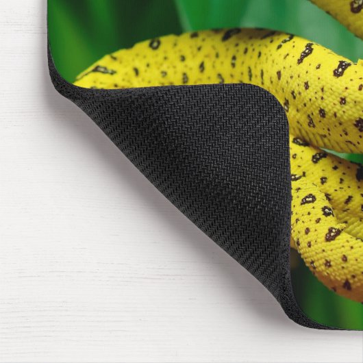 Baby Yellow Phase Green Tree Python Snake Mousepad (Ecke)