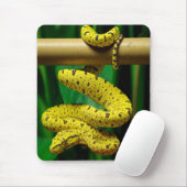 Baby Yellow Phase Green Tree Python Snake Mousepad (Mit Mouse)