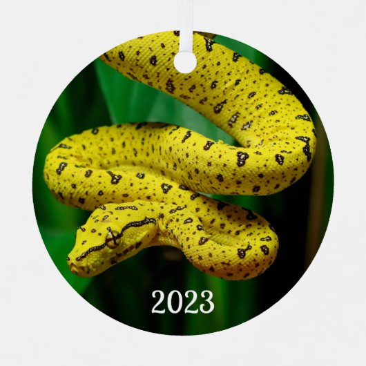 Baby Yellow Phase Green Tree Python Snake Ornament Aus Metall (Vorderseite)