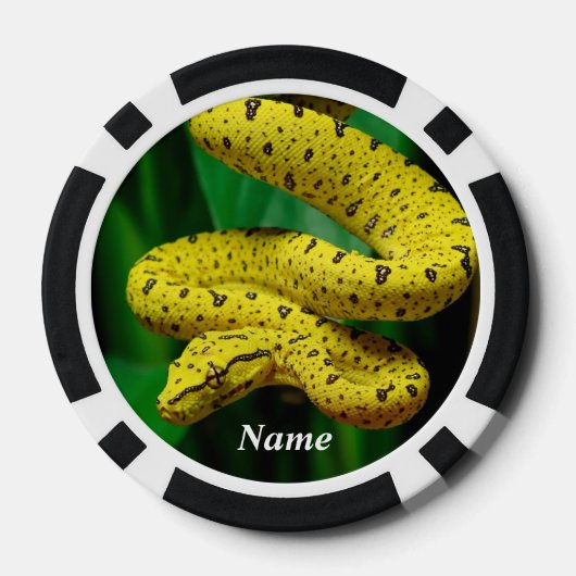 Baby Yellow Phase Green Tree Python Snake Pokerchips (Rückseite)
