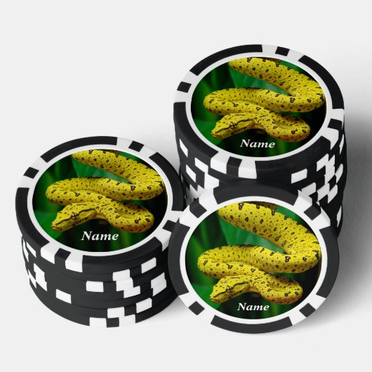 Baby Yellow Phase Green Tree Python Snake Pokerchips (Stapel)