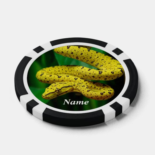 Baby Yellow Phase Green Tree Python Snake Pokerchips (Einzeln)