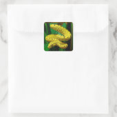 Baby Yellow Phase Green Tree Python Snake Quadratischer Aufkleber (Tasche)