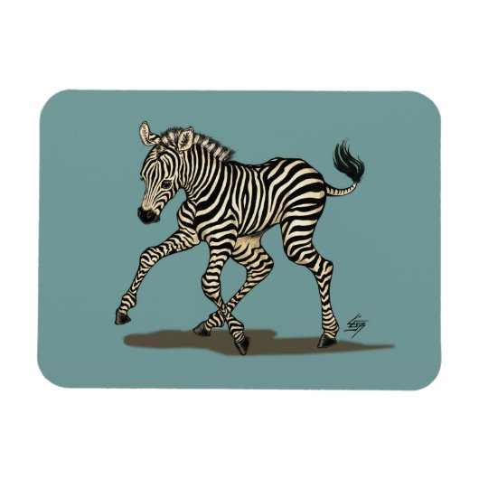 Baby zebra auf blauem Hintergrund Magnet (Horizontal)