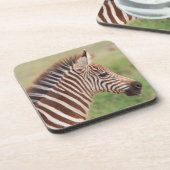 Baby zebra head, Tansania Getränkeuntersetzer (Linke Seite)