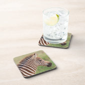 Baby zebra head, Tansania Getränkeuntersetzer (Rechte Seite)