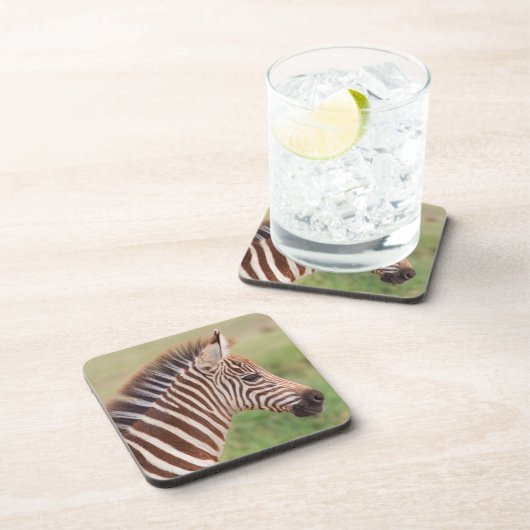 Baby zebra head, Tansania Getränkeuntersetzer (Rechte Seite)