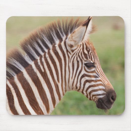 Baby zebra head, Tansania Mousepad (Vorne)