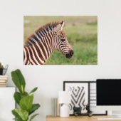 Baby zebra head, Tansania Poster (Heimbüro)