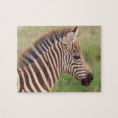 Baby zebra head, Tansania Puzzle (Horizontal)