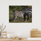 Baby Zebra in Afrika Poster (Küche)