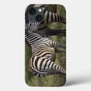 Baby Zebra iPad Mini Case