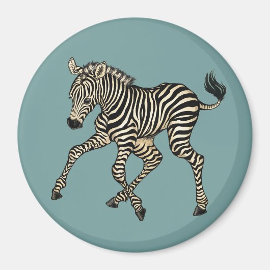Baby Zebra Magnet (Vorne)