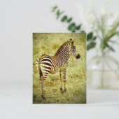 Baby Zebra Postkarte (Stehend Vorderseite)