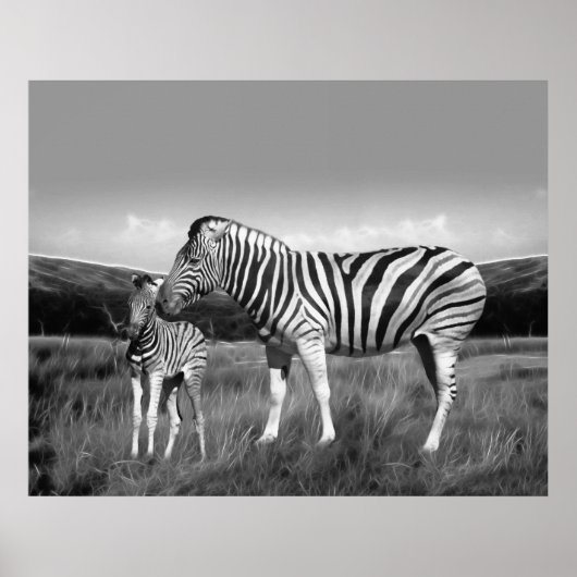 Baby Zebra und Mama Poster (Vorne)