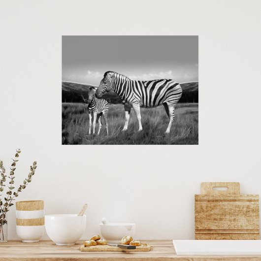 Baby Zebra und Mama Poster (Küche)