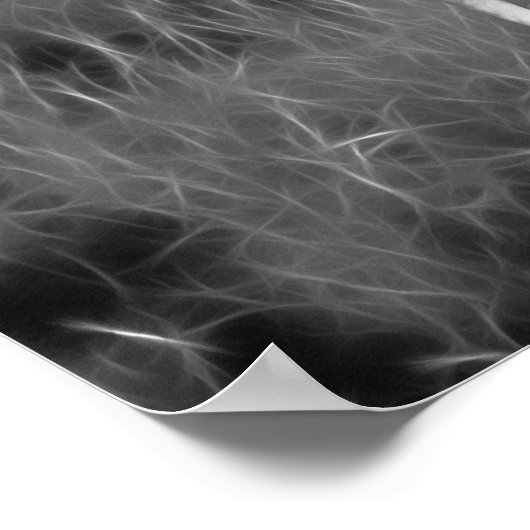 Baby Zebra und Mama Poster (Ecke)