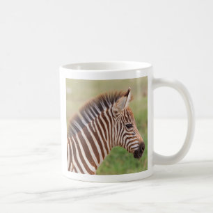 Baby-Zebrakopf, Tansania Kaffeetasse